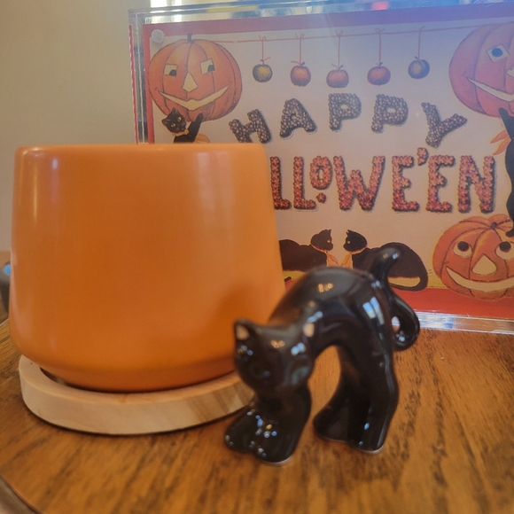 Orange & Yellow Succulent Planters ~ Vases  Candle Holders Boho  Cottage FINAL! - Picture 15 of 16